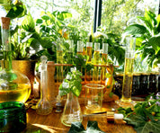 - MERVEILLE DES LANDES ORGANIC - Soins de la peau sensible Régénération complète