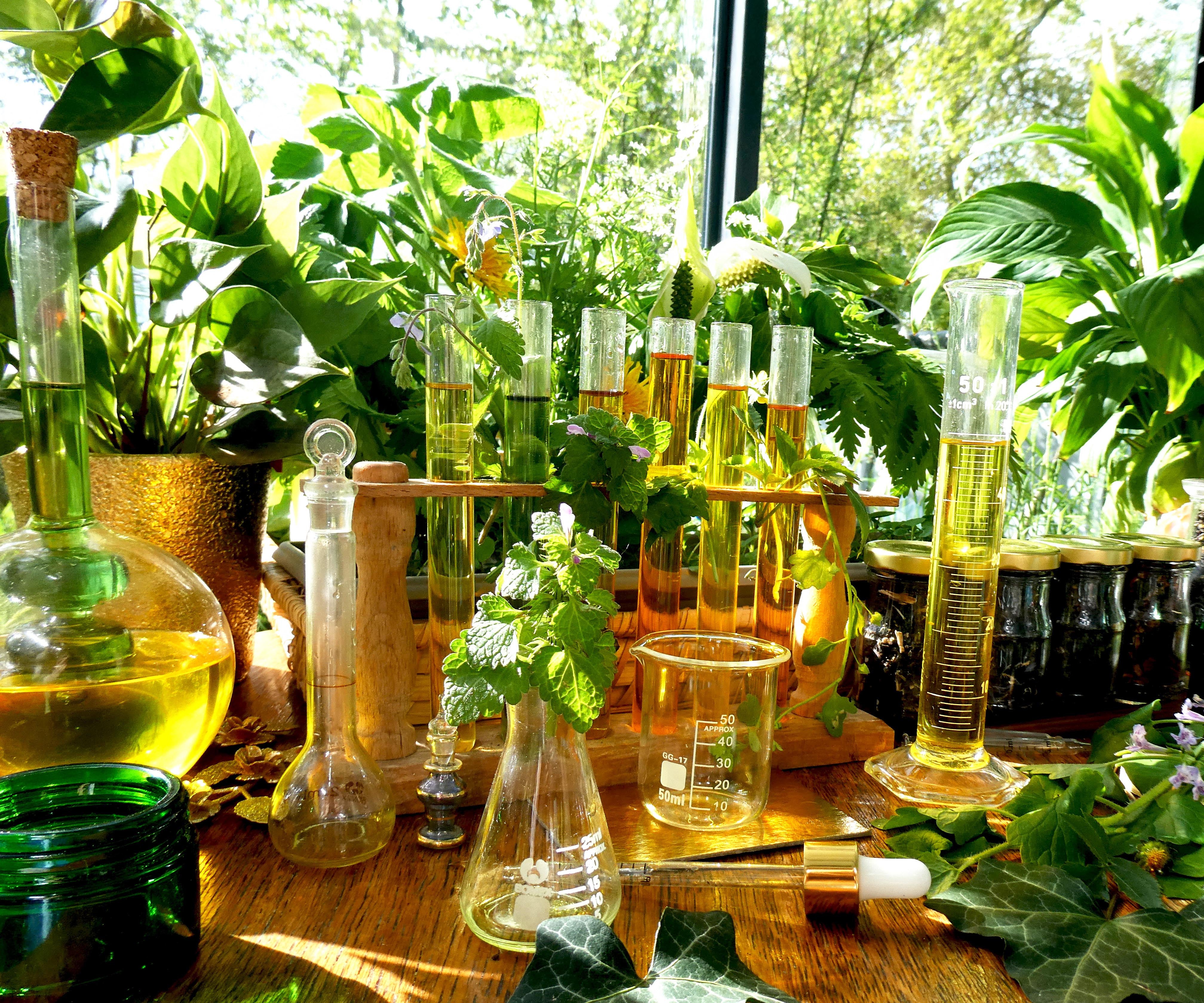 - MERVEILLE DES LANDES ORGANIC - Soins de la peau sensible Régénération complète