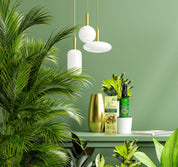 - MERVEILLE DES LANDES ORGANIC - Soins de la peau sensible Régénération complète