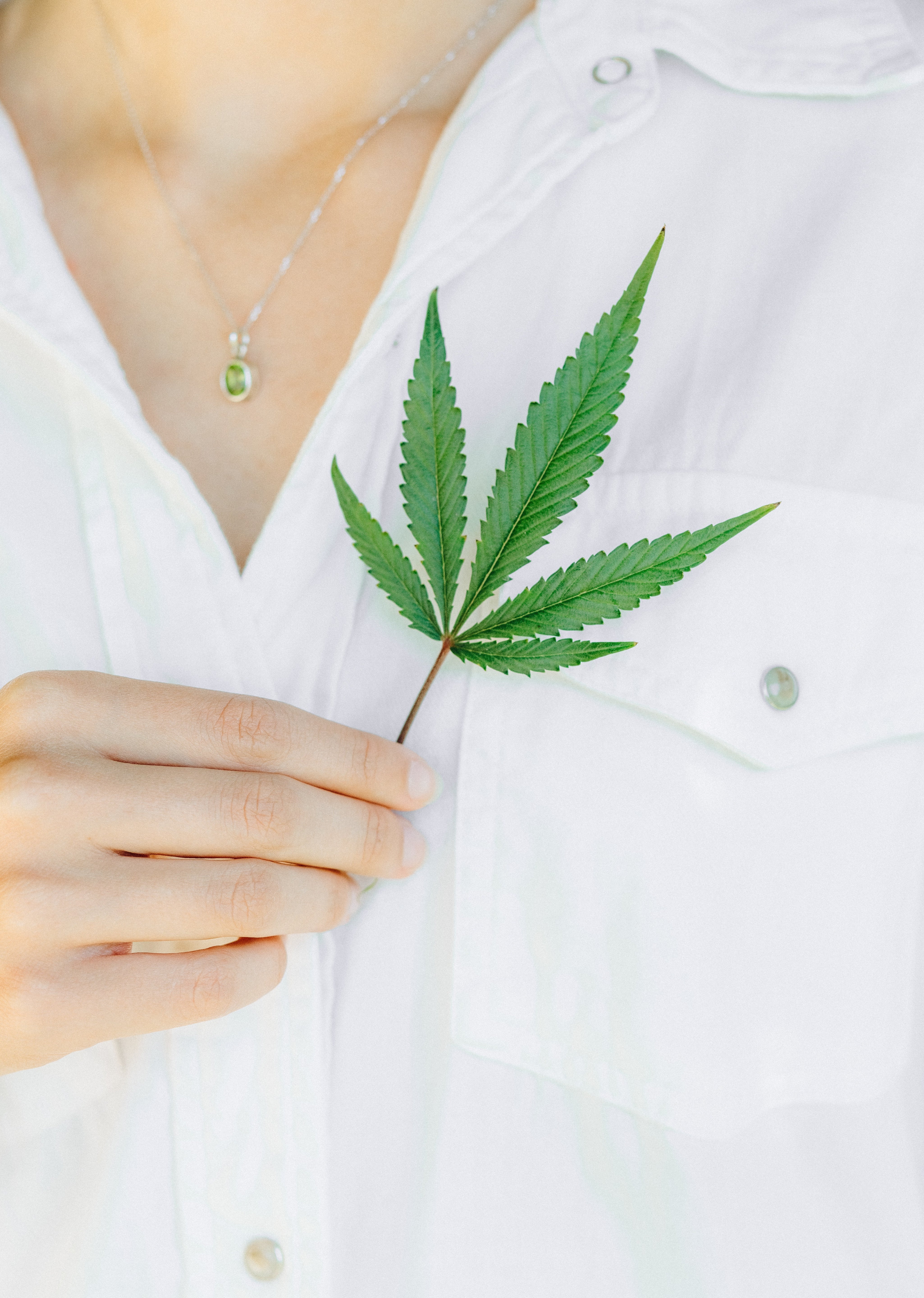 ELIXIR TRESOR DE CHANVRE BIO - Sérum Huile Végétale, Compléments Alimentaires