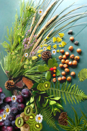 - MERVEILLE DES LANDES ORGANIC - Soins de la peau sensible Régénération complète